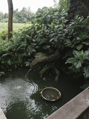 Bali 'de bir yılan heykeli şeklinde fıskiye