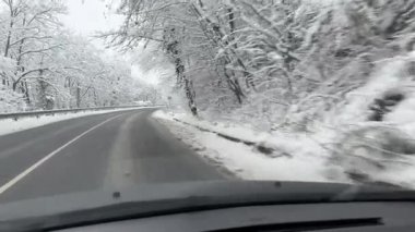 Kış Harikalar Diyarı Yolculuğu. Orman Yolu boyunca cephe manzarası büyüleyici bir orman yolunda kış yolculuğuna çıkıyor. Pov atışı. Karla kaplı ağaçlar. Dengeleyici ile çekildi. Yüksek kalite 4k