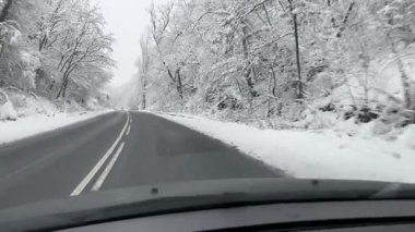 Kış Harikalar Diyarı Yolculuğu. Orman Yolu boyunca cephe manzarası büyüleyici bir orman yolunda kış yolculuğuna çıkıyor. Pov atışı. Karla kaplı ağaçlar. Dengeleyici ile çekildi. Yüksek kalite 4k