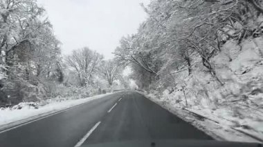 Kış Harikalar Diyarı Yolculuğu. Orman Yolu boyunca cephe manzarası büyüleyici bir orman yolunda kış yolculuğuna çıkıyor. Pov atışı. Karla kaplı ağaçlar. Dengeleyici ile çekildi. Yüksek kalite 4k