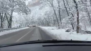 Kış Harikalar Diyarı Yolculuğu. Orman Yolu boyunca cephe manzarası büyüleyici bir orman yolunda kış yolculuğuna çıkıyor. Pov atışı. Karla kaplı ağaçlar. Dengeleyici ile çekildi. Yüksek kalite 4k