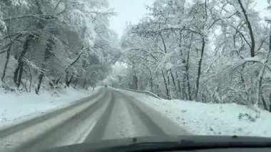 Kış Harikalar Diyarı Yolculuğu. Orman Yolu boyunca cephe manzarası büyüleyici bir orman yolunda kış yolculuğuna çıkıyor. Pov atışı. Karla kaplı ağaçlar. Dengeleyici ile çekildi. Yüksek kalite 4k