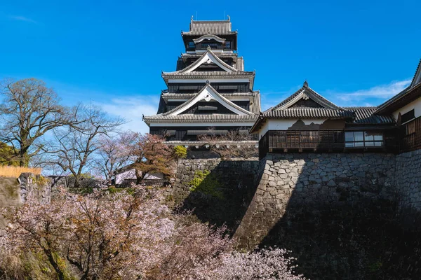 Tenshu Του Κάστρου Kumamoto Στην Πόλη Kumamoto Kyushu Ιαπωνία — Φωτογραφία Αρχείου