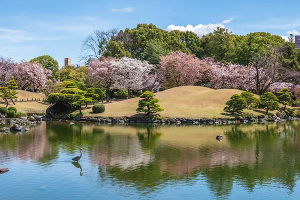 Suizenji Jojuen Japonská Zahrada Kumamoto City Kyushu Japonsko — Stock fotografie