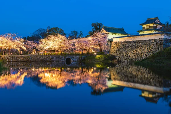 九州福岡市の桜のある福岡城 — ストック写真