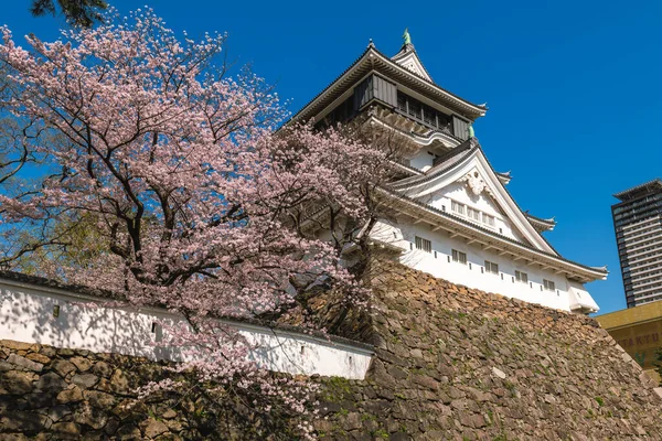 Цветение Сакуры Замке Кокура Китакюсю Фукуока Япония — стоковое фото