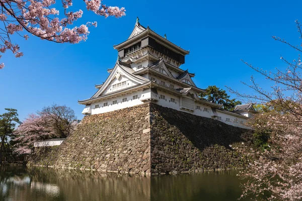 Ανθός Κερασιάς Στο Κάστρο Kokura Στο Kitakyushu Fukuoka Ιαπωνία — Φωτογραφία Αρχείου