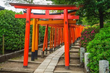 Tokyo, Japonya 'daki Nezu Tapınağı' ndaki Torii yolu. Çeviri: adak adamak