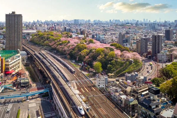 Eisenbahn Und Bahn System Von Tokio Japan — Stockfoto