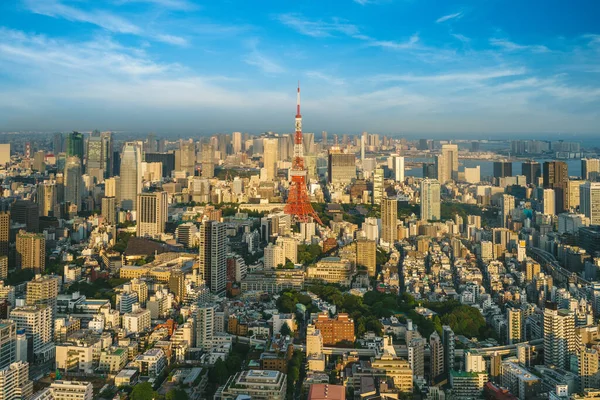 Aerial View Tokyo Skyline Tokyo Tower Japan — Stockfoto
