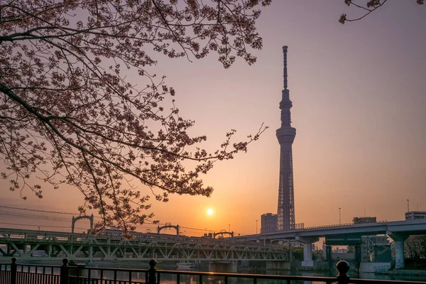 Abril 2018 Tokyo Skytree Una Torre Radiodifusión Observación Sumida Tokio — Foto de Stock