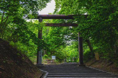 Japonya 'nın Sapporo kentindeki Hokkaido türbesinden Torii