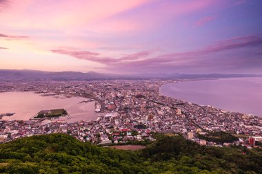 Hakodate Dağı 'ndan Gece Manzarası, Hokkaido, Japonya' daki Goryokaku Kulesi.