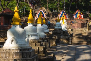 Swayambhunath, Nepal, Kathmandu 'daki maymun tapınağı.
