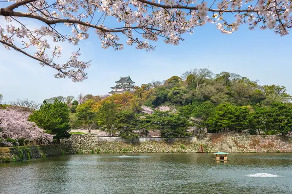 Wakayama Kalesi, Japonya 'nın Wakayama şehrinde bulunan bir Japon kalesi..