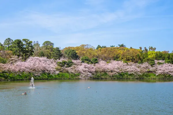 Scenery Tsurumi Ryokuchi Park Located Osaka City Kansai Japan — Stock Photo, Image