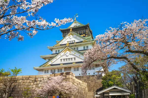 Πύργος Tenshukaku Του Κάστρου Osaka Στην Πόλη Osaka Στην Ιαπωνία Royalty Free Φωτογραφίες Αρχείου