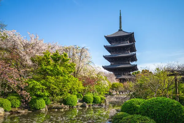 Національний Скарб Ятиповерхова Пагода Храму Тодзі Кіото Японія Вишневим Цвітом Ліцензійні Стокові Фото