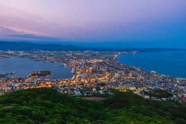 Hakodate Dağı 'ndan Gece Manzarası, Hokkaido, Japonya' daki Goryokaku Kulesi.