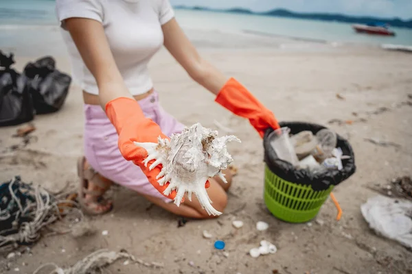 Female Ecologist Volunteer Cleans Beach Seashore Plastic Other Waste —  Fotos de Stock