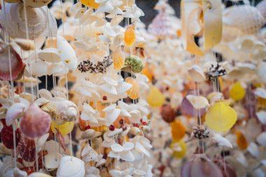 Farklı deniz kabuklarıyla süslenmiş el yapımı bir hatıra..