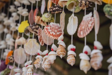 Farklı deniz kabuklarıyla süslenmiş el yapımı bir hatıra..