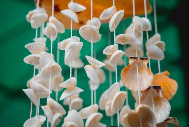 Farklı deniz kabuklarıyla süslenmiş el yapımı bir hatıra..