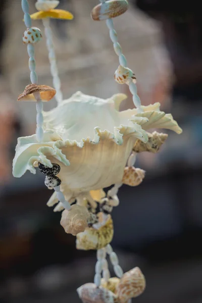 異なる貝殻で飾られた手作りのお土産 — ストック写真