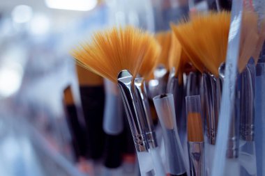 Dükkanda farklı boya fırçaları var..