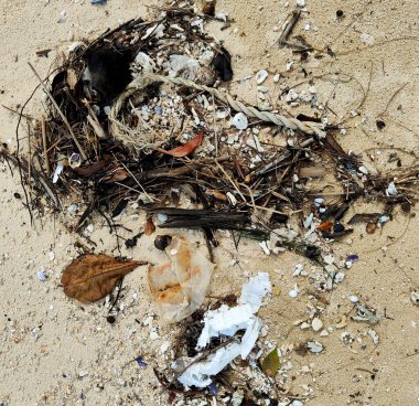 Plastik ve diğer atıklar kirli sahilde.