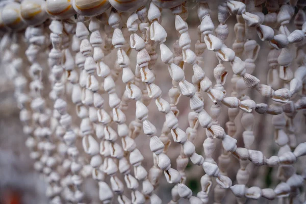 stock image Handmade souvenir decorated with different sea shells.