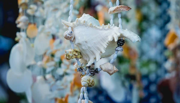 異なる貝殻で飾られた手作りのお土産 — ストック写真