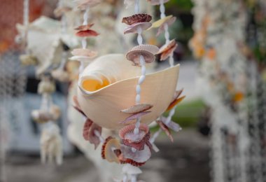 Farklı deniz kabuklarıyla süslenmiş el yapımı bir hatıra..