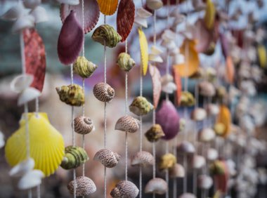 Farklı deniz kabuklarıyla süslenmiş el yapımı bir hatıra..