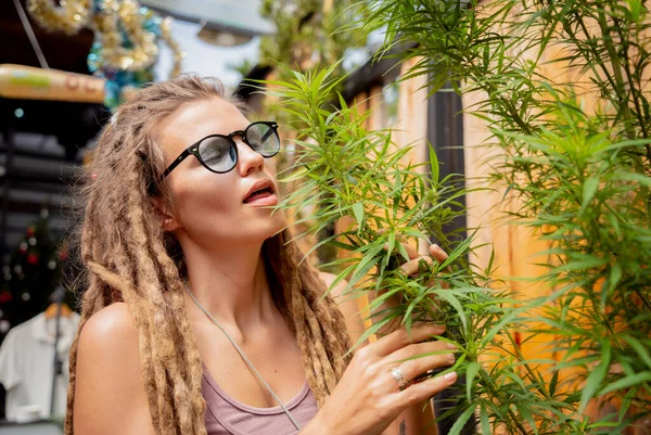 Hippie Styl Žena Rostoucí Lékařské Marihuany Keře — Stock fotografie