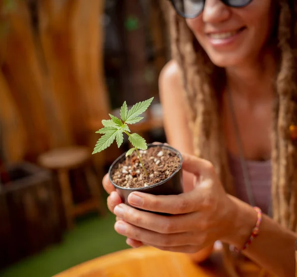 Hippie Style Woman Growing Medical Marijuana Bush — Stock Photo, Image