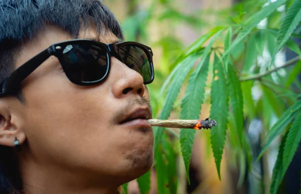 Mladý Muž Kouří Cigarety Lékařskou Marihuanou — Stock fotografie