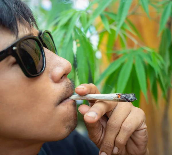Jovem Fumando Cigarros Com Maconha Medicinal — Fotografia de Stock
