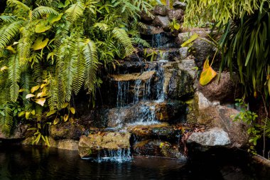 Tropikal bahçenin lüks peyzaj tasarımı.