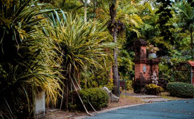 Tropikal bahçenin lüks peyzaj tasarımı.