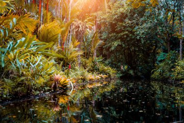Tropikal bahçenin lüks peyzaj tasarımı.