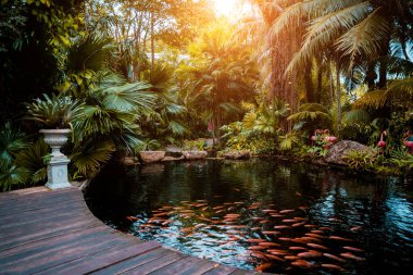 A park with a lake and small red fishes
