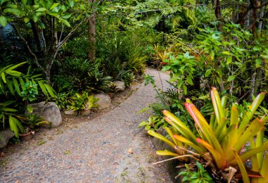 Tropikal bahçenin lüks peyzaj tasarımı.