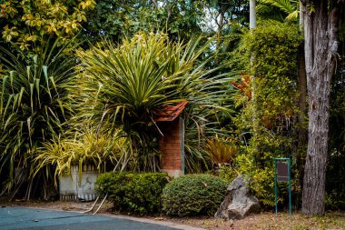 Tropikal bahçenin lüks peyzaj tasarımı.