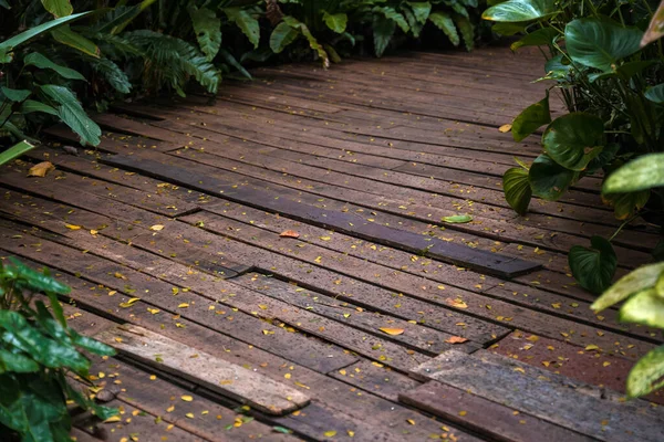 Old Rustic Wooden Stairs Garden — Stock Photo, Image