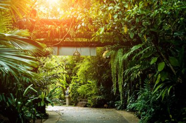 Tropikal bahçenin lüks peyzaj tasarımı.