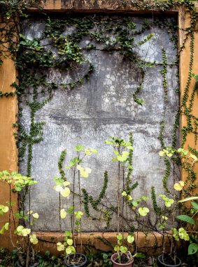 Background and texture of ancient stone wall.