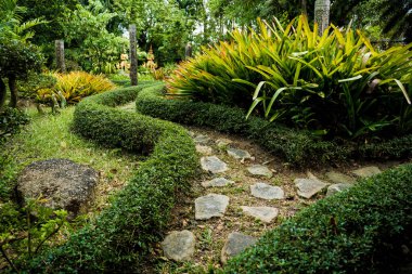 Tropikal bahçenin lüks peyzaj tasarımı.