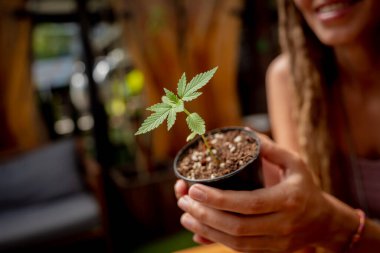 Tıbbi marihuana yetiştiren hippi tarzı kadın..