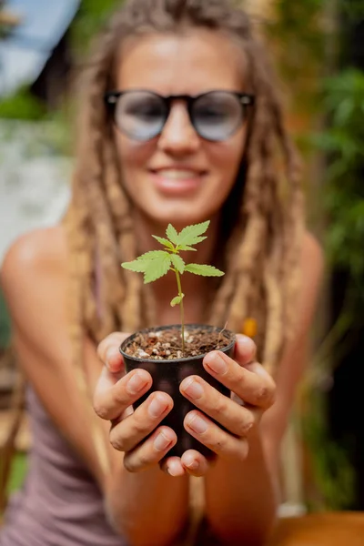 Mulher Estilo Hippie Crescendo Arbusto Maconha Medicinal — Fotografia de Stock